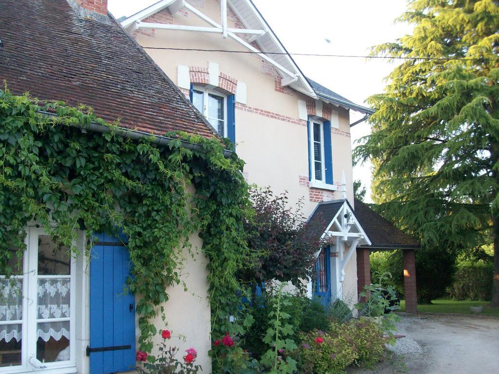 Loire, Chateaux, Et Vignes 온자인 외부 사진